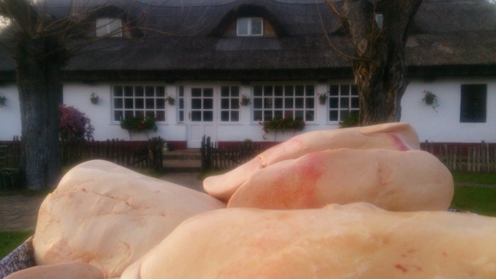 Öregtanya-Dobos Attila