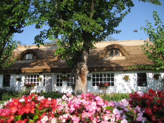 Dobos Attila - Öregtanya