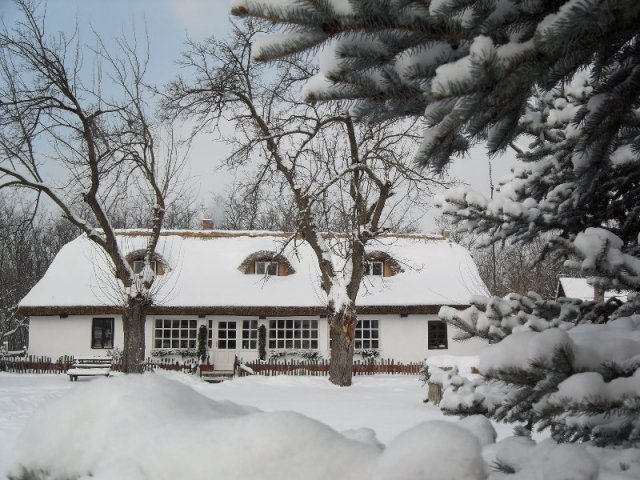 Dobos Attila - Öregtanya